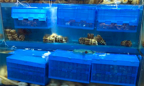 折叠筐 水产海鲜养殖